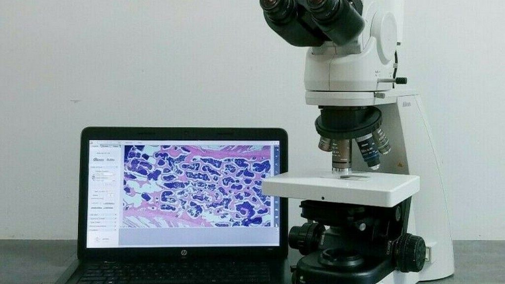 Difraktometreler ve X-Işını Mikroskopları