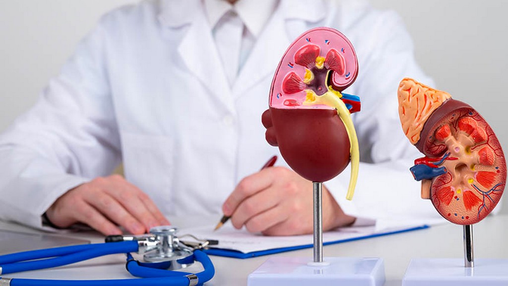 Test ve Değerlendirme Sistemleri