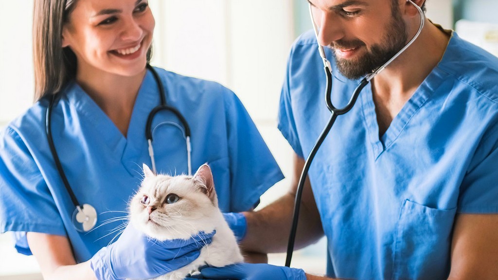 Veteriner Cihazları
