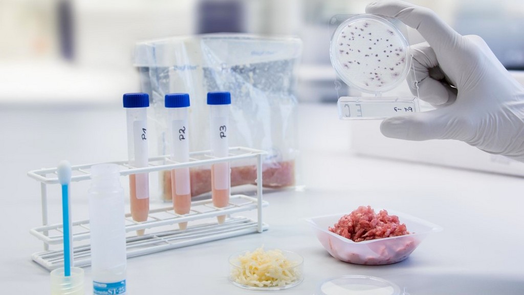 Gıda Güvenliği Test Kitleri