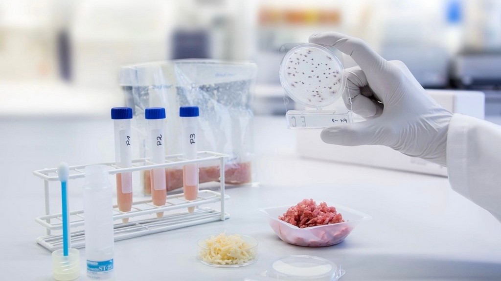 NMR, EPR ve TD-NMR Gıda Analiz Çözümleri