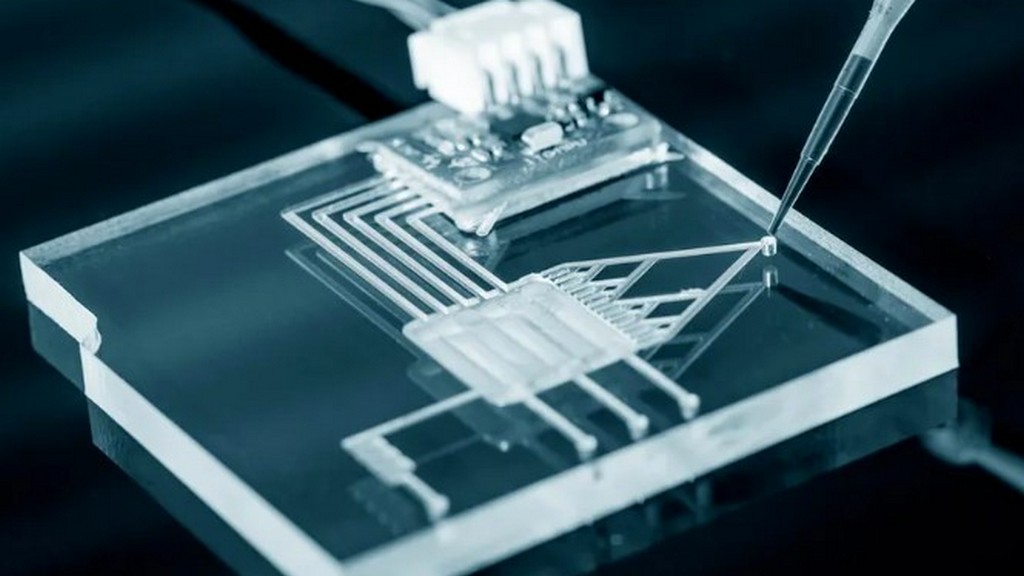 Protein Chip Sistemleri