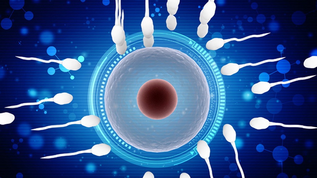 Sperm Aktivasyon ve Stres Test Cihazları