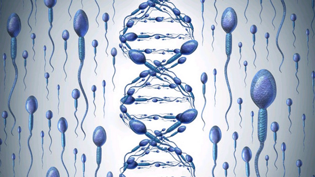 Sperm DNA Hasar Testi Cihazları