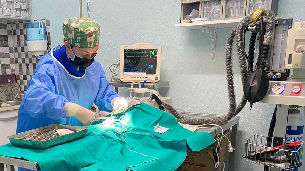 Veteriner Cerrahi Aksesuarları