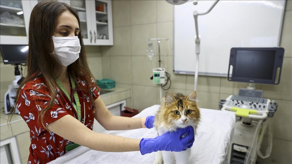Veteriner Tedavi ve Bakım Malzemeleri